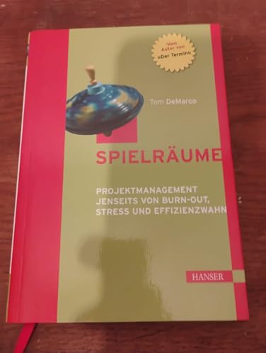 Spielräume. Projektmanagement jenseits von Burn-out, Stress und Effizienzwahn.