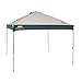 Coleman 10' x 10' Straight Leg Instant Canopy/Gazebo