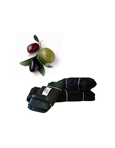 Jardin202 - Mantos de Aceituna - 8 x 3 Metros