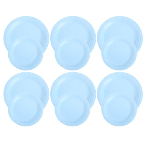 BCOATH 100�� �g���̂� �p�[�e�B�[ �v���[�g �o�[�x�L���[ �� �v���[�g �P�[�L �� �s�N�j�b�N �e�[�} �s�N�j�b�N �X�^�C��