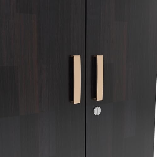 Image of DF2H Wardrobe | 1 Year Warranty | 2 Doors Cupboard, Ren, with Drawer, Wooden Almirah Wenge Colour (Melamine Finish)