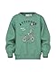 Nmmvalexander Ls Nreg Sweat Unb