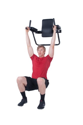 Ultimate Body Press Wall Mount Dip Station with Vertical Knee Raise