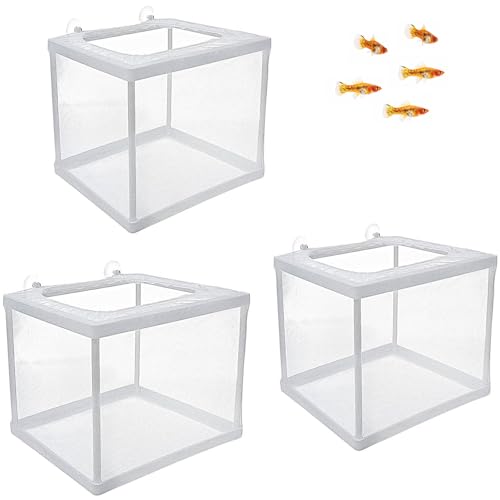 3 Stück Ablaichkasten Aquarium, Schwimmende Laichkasten, Babyfisch Becken, laichkasten für Aquarium, mit 6 Saugnäpfe für Fische Garnelen Brutkasten Zuchttanks
