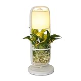 ★ Introducción del producto: lámpara de mesa de planta creativa, planta hidropónica de personalidad creativa en maceta para mesa de bar, dormitorio, mesita de noche
