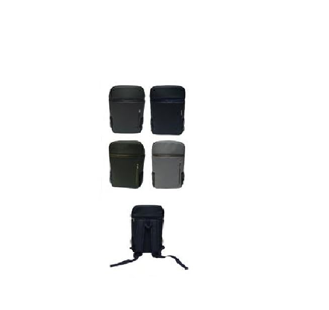Zaino Termico 12 Litri Porta Vivande e Bibite - Pratiche Tracolle per Trekking, Spiaggia, Picnic - Tessuto Tecnico con Interno in Alluminio (GRIGIO CHIARO)