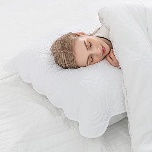 Bosowos BS004 Quilted Pillow Shams Set Of 2, Decorative Microfiber Queen Bed Pillow Shams thumb #7