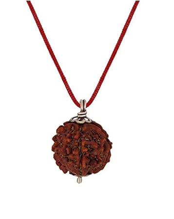 Venus Gems Gallery 9 9 Mukhi Rudraksha Original Certified Nepal Real & Rare No Mukhi Navamukhi Rudraksh with Silver Cap Brown Bead 9 Nine Face Rudrakash Blessed by Maa Navdurga