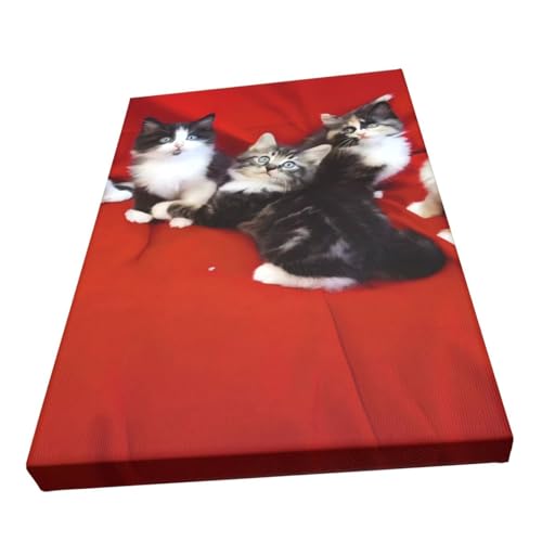 Toile murale de chat mignon pour décorer votre salon cocooning et chambre moderne de 30x45 cm - 2