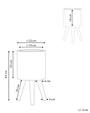 Zoom IMG-2 beliani vaso per fiori rialzato Zoom IMG-2 beliani vaso per fiori rialzato