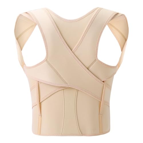 Eiuuioj LwxgAT|[gAʋCAjp (x[W,XXL)