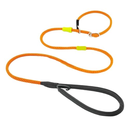 Laisse chien plomb glissement durable et résistante 1.8m - 2