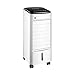 Samnuerly Raffreddatore d'Aria , Raffreddatore d'Aria Portatile con Dispositivo di Raffreddamento e deumidificatore 4 in 1 Telecomando purificatore d'Aria e Display a LED
