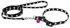 DCM PET Zone Nylon Paw Print 10MM Collar Set for Puppies and Cats, Multicolored