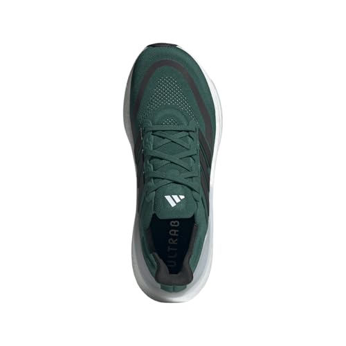 Image of adidas Mens Ultraboost Light Running Shoe