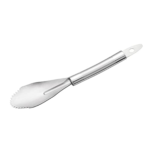 FIYSON Grapefruit Knife Grapefruit Citrus Peelers Stainless Steel Fruit Cutter, Fruit Spoon, Grapefruit Spoon, Dessert Spoon with Serrated Edge, Suitable Exfoliating Tool for Kiwi, Papaya, Apple,