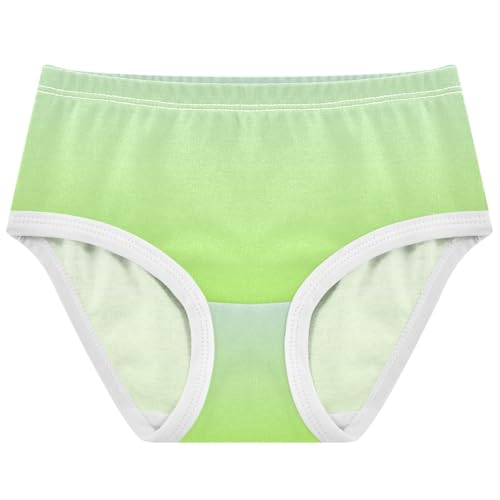 Joisal Elegant Blue Green Yellow Gradient Toddler Girls Underwear 2t Cotton Girl Panties Cute Designer Briefs Kids Undies