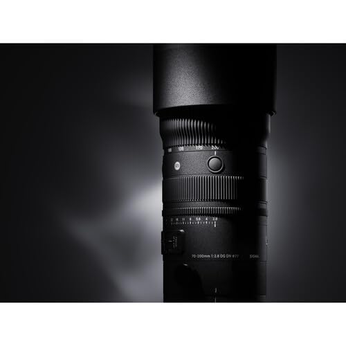 Sigma 24-70mm f/2.8 lens