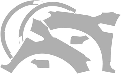 Vicrez Kit de protección de pintura PPF precortado, guardabarrosespejos completo, conductor y pasajero vpp2937 compatible con Ford Ranger Lariat