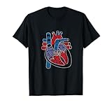 List of Parts of the Heart 1 Parts of Heart Tshirt Anatomical Heart Gift for Cardiologist T-Shirt