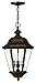Hinkley-Three Light Copper Bronze Clear Beveled & Bound Glass Hanging Lantern-2422CB
