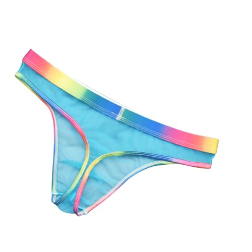 Mesh See Through Briefs Underwear for Men Gay Pride Sexy Rainbow Sheer Thongs Mens Naughty T Back Lingerie