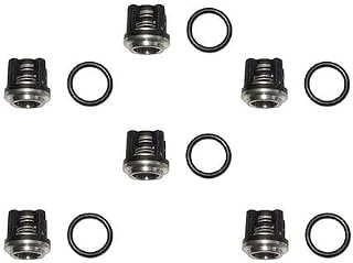 Check Valve Kit 2864 fits Annovi Reverberi Pumps RK, RKA, RR, RRA, RW, XRCA