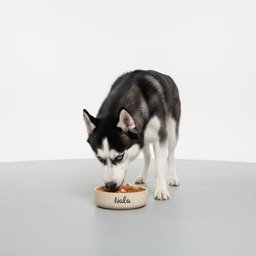 Personalisierbarer Keramik-Futter- & Wassernapf 750 ml (M) Beige – schwer & rutscharm – spülmaschinengeeignet & hygienisch – für mittelgroße Hunde & große Katzen – personalisiert mit Namen – Petslino