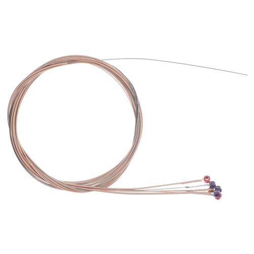 Hoement �A�R�[�X�e�B�b�N�M�^�[������ ?�����^���t�H�[�N�M�^�[�� ���Ăȉ��F �����T�X�e�B�� 6�Z�b�g