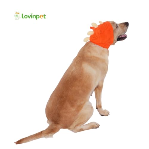 Chapeau de dinosaure pour chiens réglable pour stopper le vent - 8