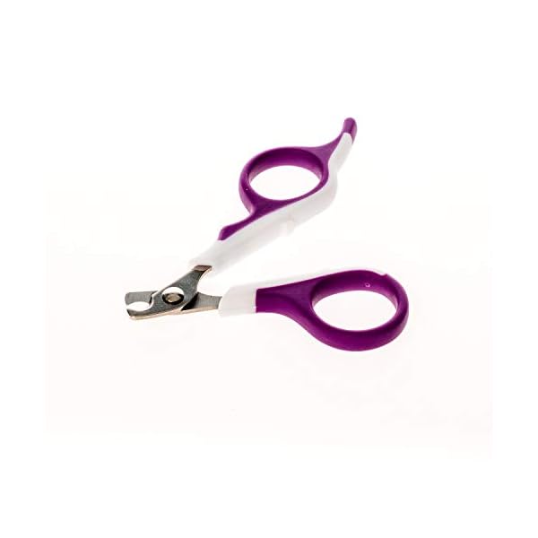 Kaytee pro-nail trimmer purple - image 5
