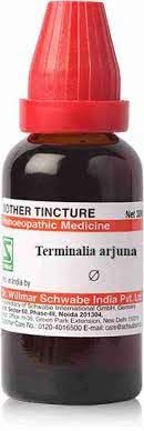 Dr Willmar Schwabe India Terminalia Arjuna Q- 30 ML (Pack of 2) (B0CRRM3LLH) Amazon Price History, Amazon Price Tracker
