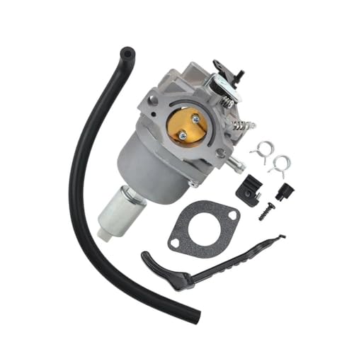 Carburateur 696353 haute précision moteur 16 CV 303777