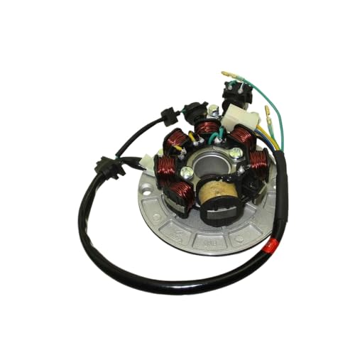Stator de rechange vélo de stand 190cc kick start Z190
