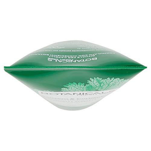 L'Oréal Paris Botanicals Ingwer und Koriander, stärkender Conditioner, 200 ml – Ansicht 5