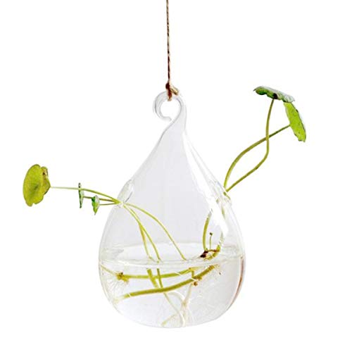 UHD Glass Hanging Planter Tear Drop, Crystal Glass Hanging Hydroponic Plants and Terrarium for Indoor Garden Connecting with The Nature (Set of 2) (B08SLBQ63F) Amazon Price History, Amazon Price Tracker
