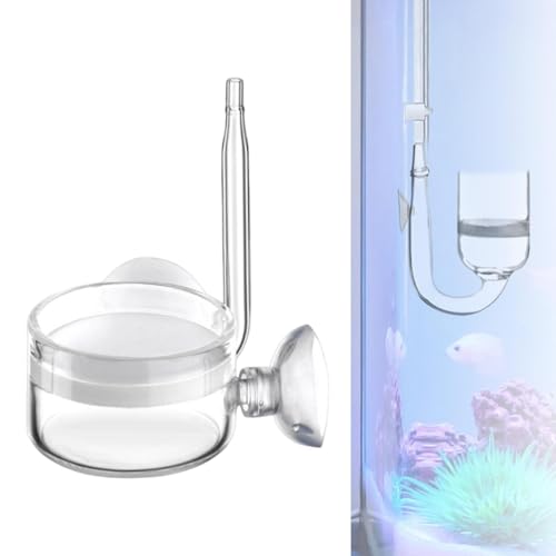 Qialexicon 水族館用のCO2ディフューザー二酸化炭素水族館ディフューザーバブルディフューザーディフューザー, 直径40mm