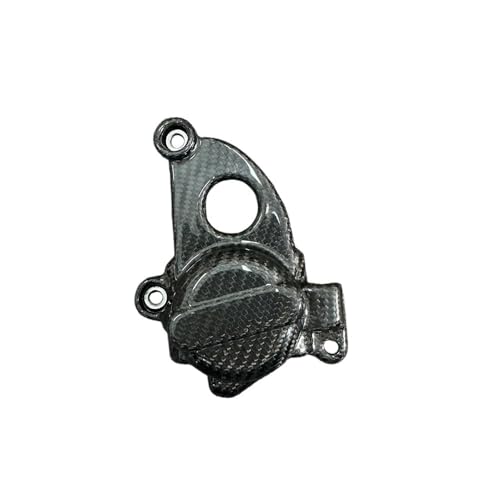 Protection moteur moto en carbon S1000RR 2019-2024 cache stator