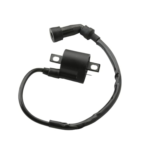 Motorcycle Ignition Coil For Y-m-h XT125 YBR125 XT YBR 125 3D9-H2310-00