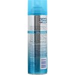Rave 4X Mega Long-Lasting Firm Hold Scented Hair Spray for Heat Protection, Volume and Shine - ClimaShield for Extra Humidity & Minimizes Frizz - Image 3