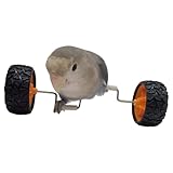Parrot Laufrad | Interaktives Vogelkäfig-Trainingsspielzeug, Nymphensittiche, Intelligenzanreicherung, Balancefahrzeug für Glasausstellung, Sitzstange, Käfig, Heimtiergeschäft, Tischplatte