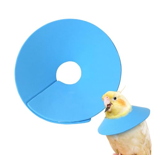 Lrtyui ペット用コーンカラー | インコ用保護ネックカラー,小型ペット用 快適 軽量 安全なエリザベスカラー