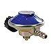 Silverline 973878 - Regulador de gas para bombonas Campingaz (29 mbar)