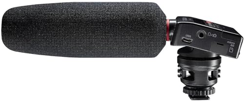 Tascam DR-10SG Camera-Mountable Audio Recorder with Shotgun Microphone