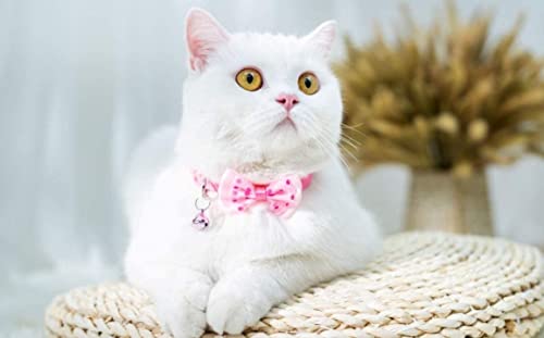 Image of KsPups Cat Collars I Color Full I with Bell and Bow I Small Dogs I Soft Adjustable I Collar Safe Solid and Protection I for Cats and Puppies Cute with Bow Design I Color May Vary Pack OF-1 I (CAT BOW TIE)