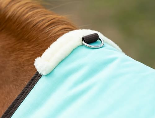 Reinsman-Circle-Y-Classic-Turnout-Blanket-Turnout-Blanket-for-Horses-Blanket-for-Horses-Horse-Blanket-300g-600D-Waterproof-Horse-Blanket-75-Blue-and-Brown