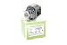 Produktbild Alda PQ-Premium, Beamerlampe/Ersatzlampe für EPSON EB-G5600 Projektoren, Lampe mit Gehäuse