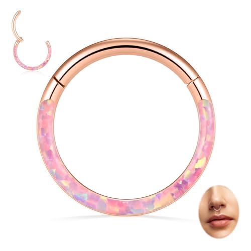 Image of PEAKLINK 16G 18G 316L Stainless Steel CZ /OPAL Septum Piercing Septum Clicker Ring Hinged Nose Ring Daith Earrings Conch Piercing Jewelry Helix Cartilage Tragus Lobe Belly Hoop Earring