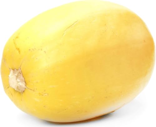 Organic Spaghetti Squash, 1 Each