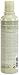 Aveda Pure Abundance Volumizing Shampoo, Peppermint, 8.5 Fl Oz
